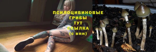 соль курить ск Армянск