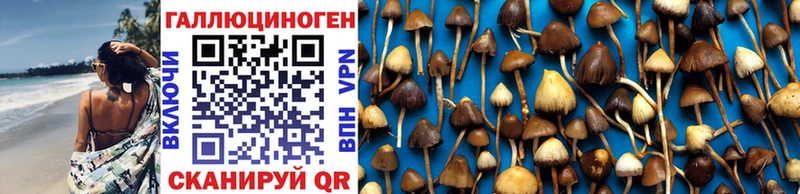 продажа наркотиков  мега tor  Галлюциногенные грибы GOLDEN TEACHER  Мглин 